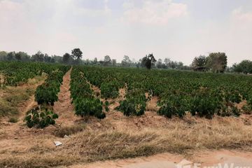 Land for sale in Suranari, Nakhon Ratchasima