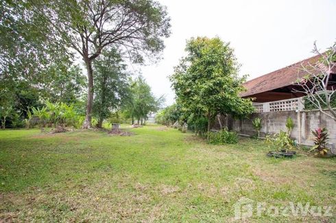 Land for sale in Tha Wang Tan, Chiang Mai