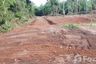 Land for sale in Maret, Surat Thani