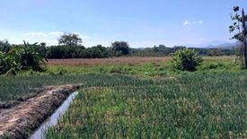 Land for sale in Thung Pi, Chiang Mai