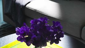 1 Bedroom Condo for rent in The River by Raimon Land, Khlong Ton Sai, Bangkok near BTS Krung Thon Buri