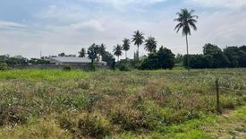 Land for sale in Sam Phraya, Phetchaburi