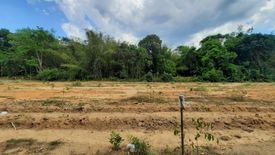 Land for sale in Khuekkhak, Phang Nga