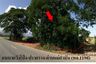Land for sale in Khoi Sung, Uttaradit