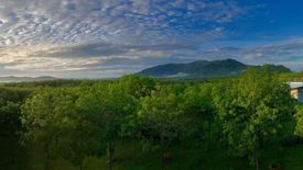 Land for sale in Thep Krasatti, Phuket