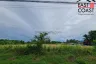 Land for sale in Nong Prue, Chonburi