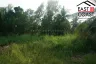Land for sale in Nong Pla Lai, Chonburi