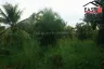 Land for sale in Nong Pla Lai, Chonburi