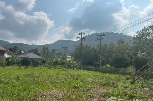 Land for sale in Mae Nam, Surat Thani