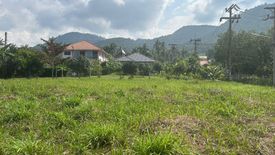 Land for sale in Mae Nam, Surat Thani