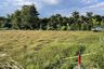 Land for sale in Huai Sai, Chiang Mai