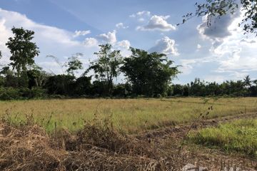 Land for sale in San Phak Wan, Chiang Mai