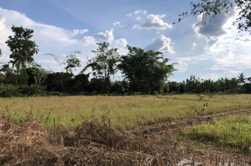 Land for sale in San Phak Wan, Chiang Mai