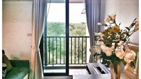 1 Bedroom Condo for rent in ZCAPE III, Wichit, Phuket