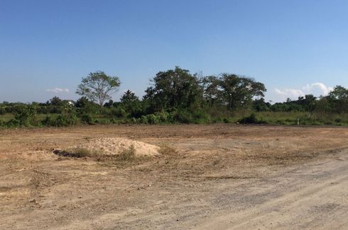 Land for sale in Thung Tom, Chiang Mai