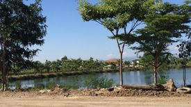 Land for sale in Thung Tom, Chiang Mai