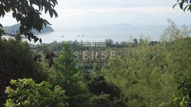 Land for sale in Ko Pha-ngan, Surat Thani