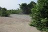 Land for sale in Rat Niyom, Nonthaburi