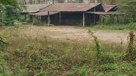 Land for sale in Bua Sali, Chiang Rai