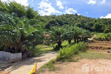 Land for sale in Rawai, Phuket