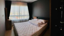 1 Bedroom Condo for rent in Elio Del Moss Phaholyothin 34, Sena Nikhom, Bangkok near BTS Kasetsart University