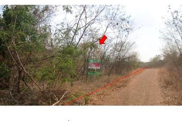 Land for sale in Kan Chu, Phetchabun