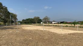 Land for sale in San Phak Wan, Chiang Mai