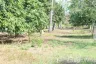 Land for sale in Bueng Nakhon, Prachuap Khiri Khan