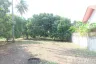 Land for sale in Bueng Nakhon, Prachuap Khiri Khan