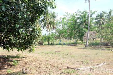 Land for sale in Bueng Nakhon, Prachuap Khiri Khan