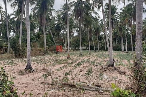 Land for sale in Huai Yai, Chonburi