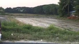 Land for sale in Nong Chom, Chiang Mai