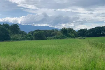 Land for sale in Nong Chom, Chiang Mai
