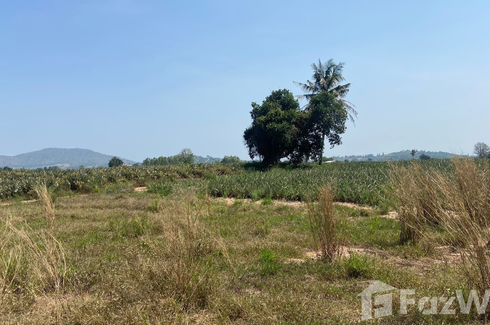 Land for sale in Pran Buri, Prachuap Khiri Khan