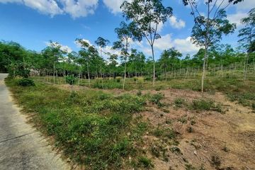 Land for sale in Khuekkhak, Phang Nga