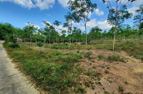 Land for sale in Khuekkhak, Phang Nga