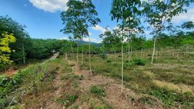 Land for sale in Khuekkhak, Phang Nga