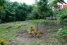Land for sale in Nong Prue, Chonburi