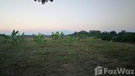 Land for sale in Buak Khang, Chiang Mai