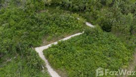 Land for sale in Mae Nam, Surat Thani