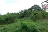 Land for sale in Huai Yai, Chonburi