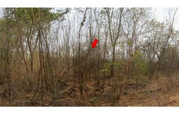 Land for sale in Kan Chu, Phetchabun