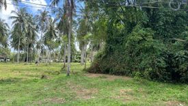 Land for sale in Na Mueang, Surat Thani