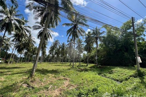 Land for sale in Na Mueang, Surat Thani