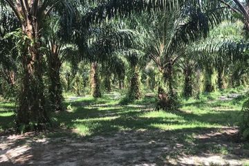 Land for sale in Thung Maphrao, Phang Nga