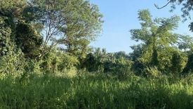 Land for sale in Summit Green Valley, Mae Sa, Chiang Mai