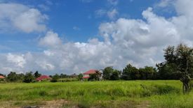 Land for sale in Ton Pao, Chiang Mai
