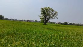 Land for sale in Ton Pao, Chiang Mai