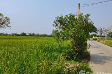 Land for sale in Ton Pao, Chiang Mai