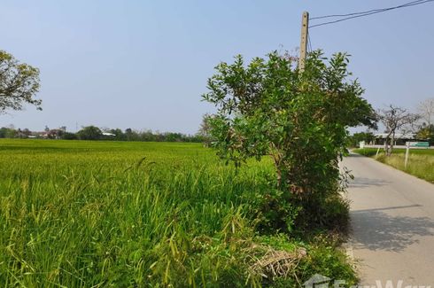 Land for sale in Ton Pao, Chiang Mai